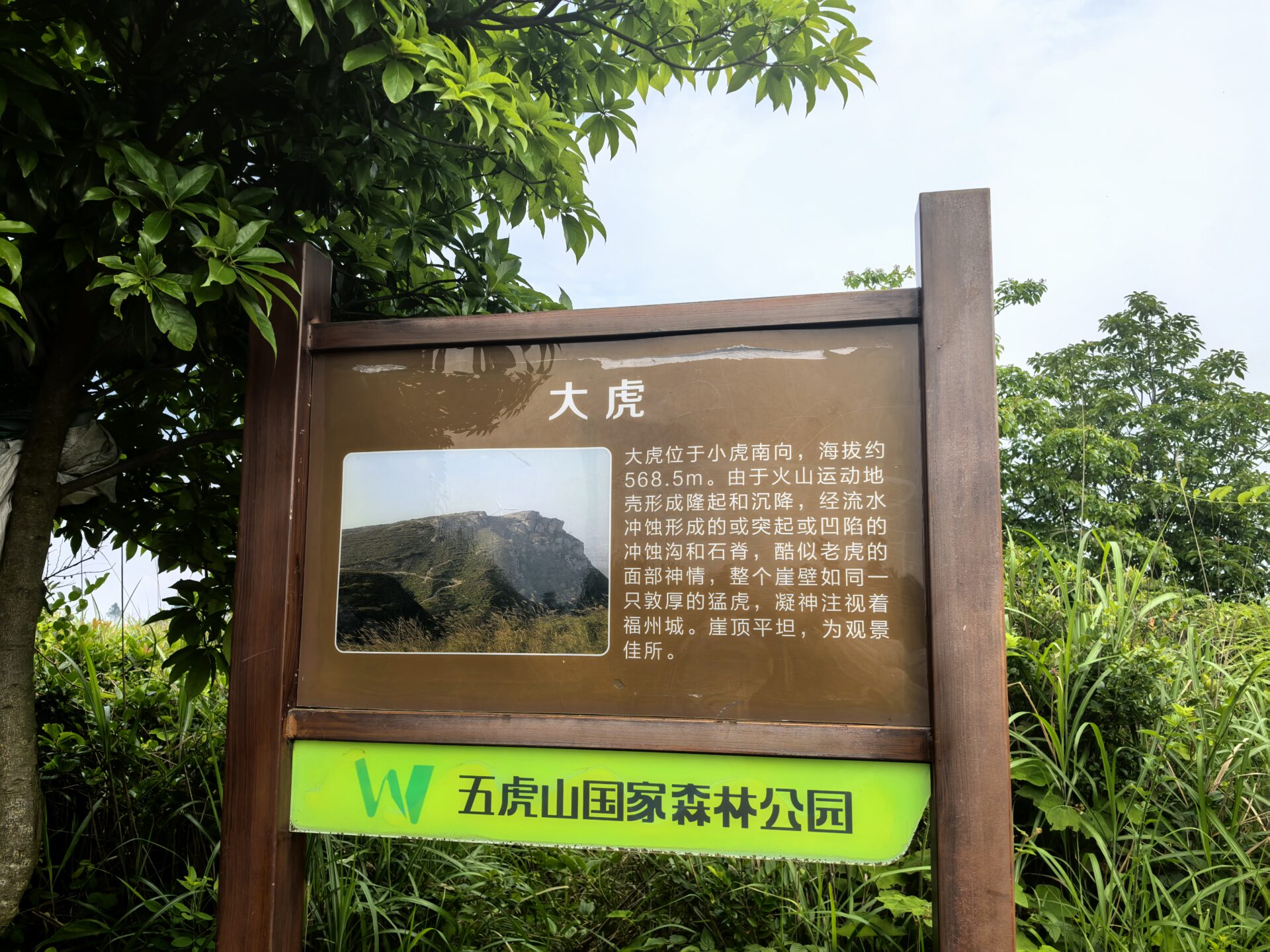 图片[6]-又来爬山了-五虎山国家森林公园-云苏原